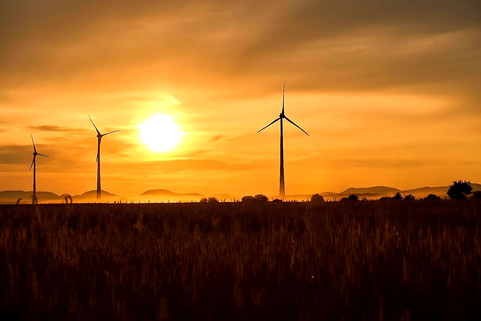 Participants échangeant lors d'un événement éducatif sur l'énergie durable