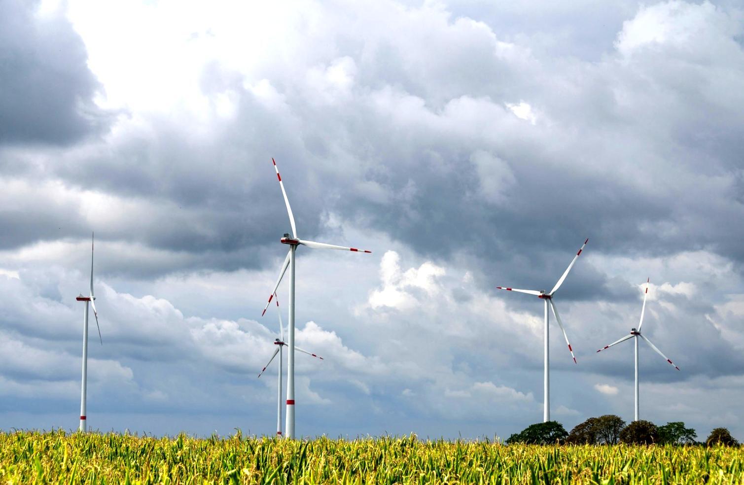 Réseau professionnel de diplômés