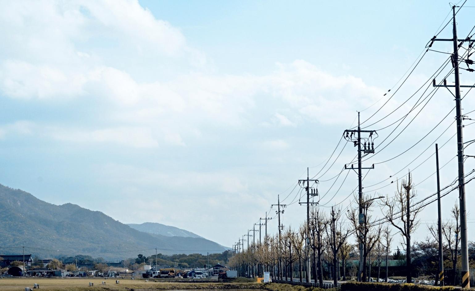 Recherche et développement pédagogique